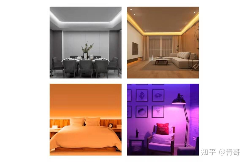 小米登上新闻联播头条