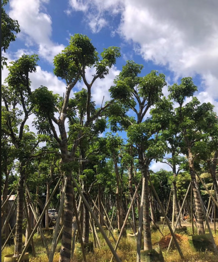 廊坊炎恒防火材料有限公司