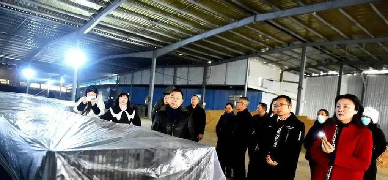 基质天麻室内种植_室内天麻种植技术_天麻人工种植技术