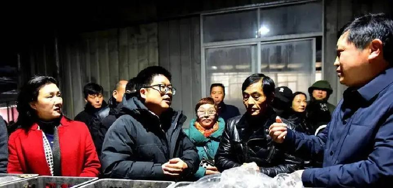 天麻人工种植技术_基质天麻室内种植_室内天麻种植技术