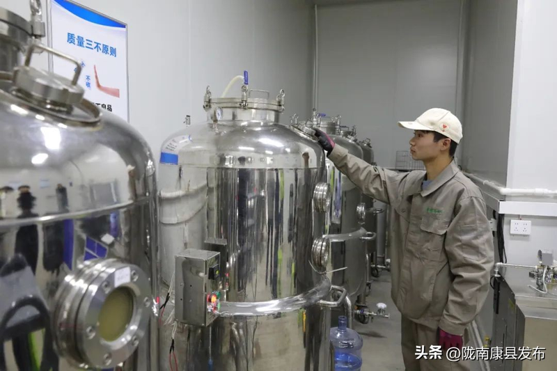 人工种植天麻技术方法_天麻人工种植技术_人工种植天麻技术视频