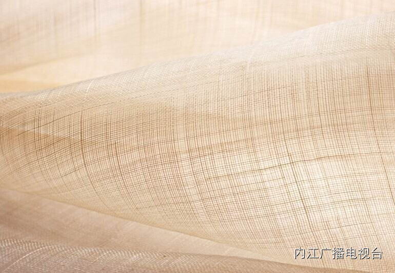 隆昌素兰花多少钱一株_隆昌素兰花种植技术_建兰隆昌素