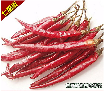 隆昌素兰花多少钱一株_建兰隆昌素_隆昌素兰花种植技术