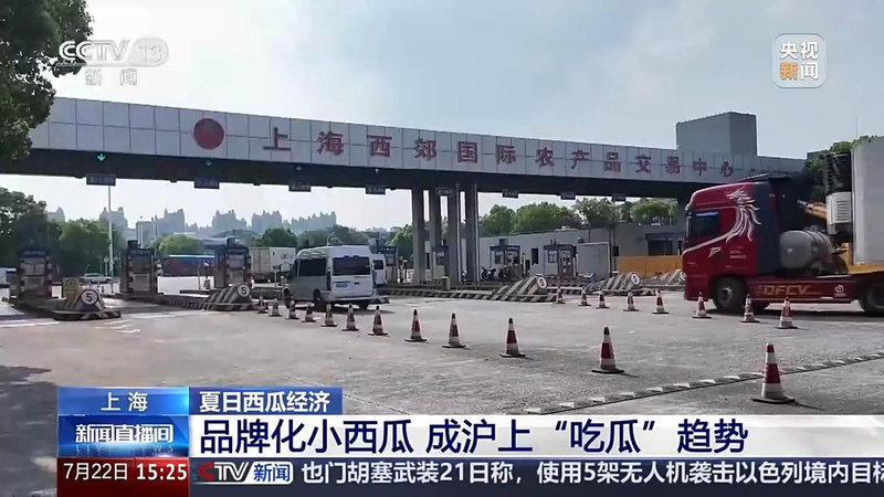 北方西瓜种植技术_大暑节气 西瓜种植面积_品牌化小西瓜 消费趋势