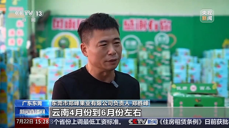 大暑节气 西瓜种植面积_北方西瓜种植技术_品牌化小西瓜 消费趋势