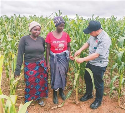 种植食用菌学技术到哪学_到哪学食用菌种植技术_食用菌栽培学