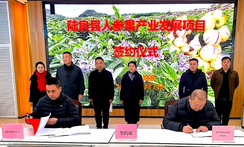 0bccd6b2fe75ff2f04869158dd77f35