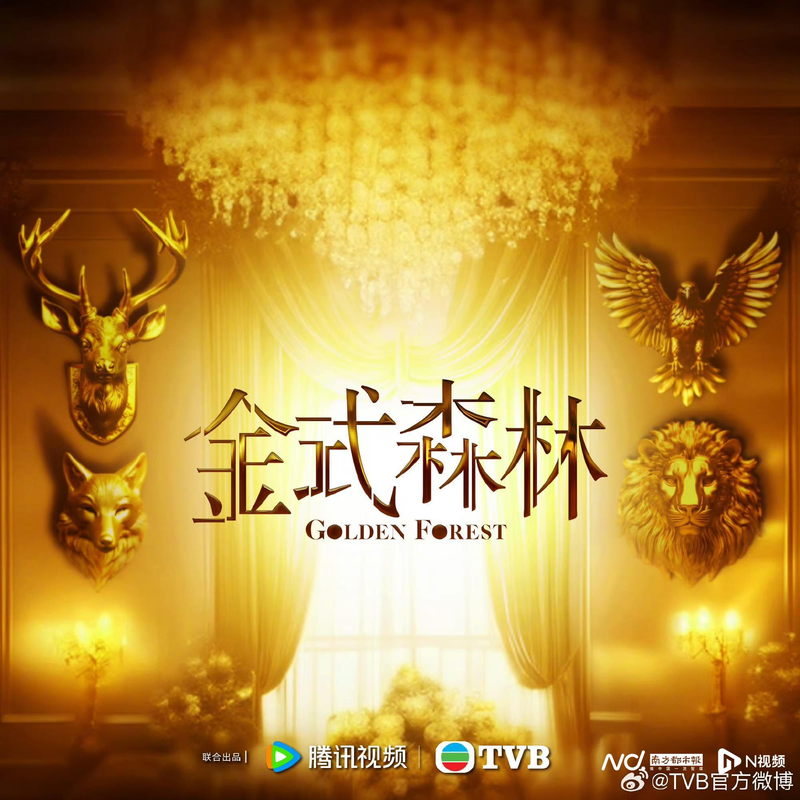 tvb新闻透视重播时间