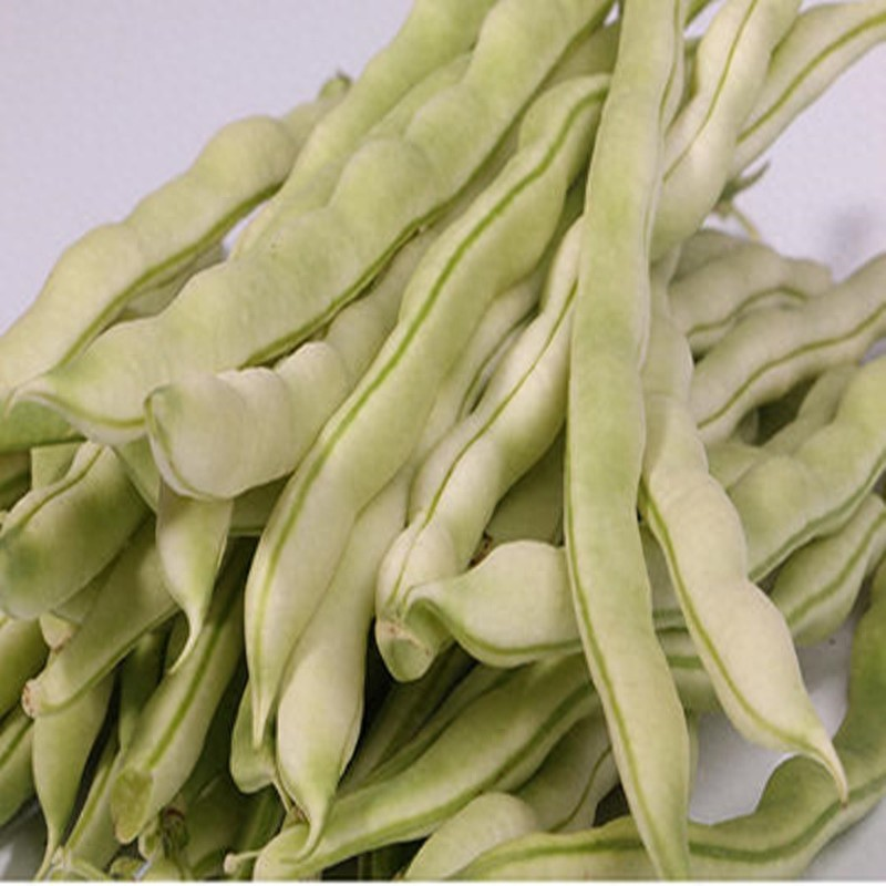 豆苗的种植方法_西瓜套种矮生菜豆高效栽培技术_西瓜套种矮生菜豆高产栽培模式