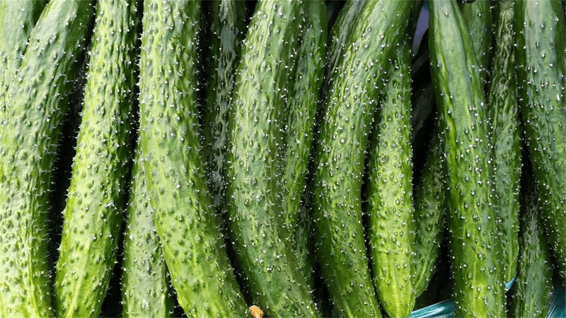 清热解毒菜谱_肝火旺食谱_口苦口臭的治疗方法