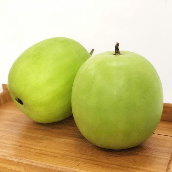 正香冬瓜高产种植方法_节瓜的种植方法_粤东地区正香冬瓜高效栽培技术