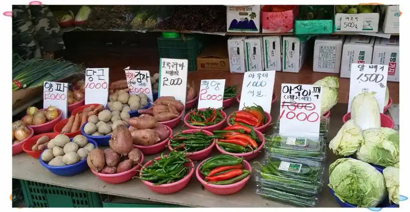 物价韩国高还是日本高_韩国物价极高_韩国物价2021