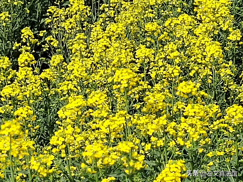 主观恶意客观行为损害后果_行政诉讼滥用诉权甄别标准_行政诉讼法知识竞赛