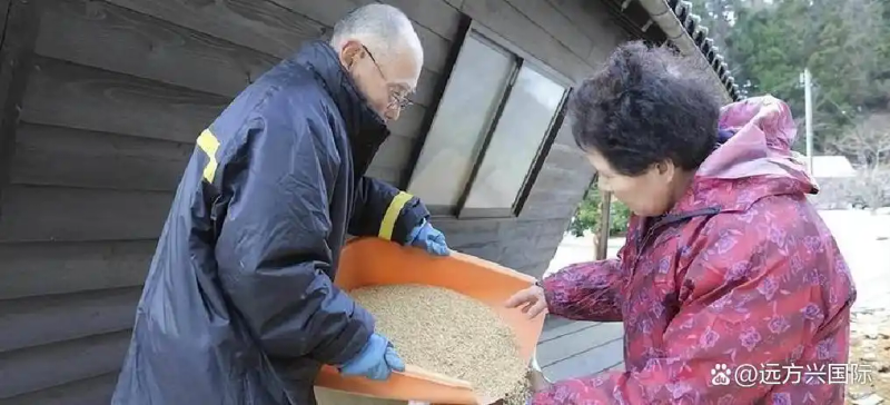 韩国牛肉价格高_韩国物价极高_韩国西瓜价格高