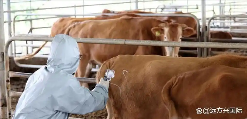 韩国物价极高_韩国牛肉价格高_韩国西瓜价格高