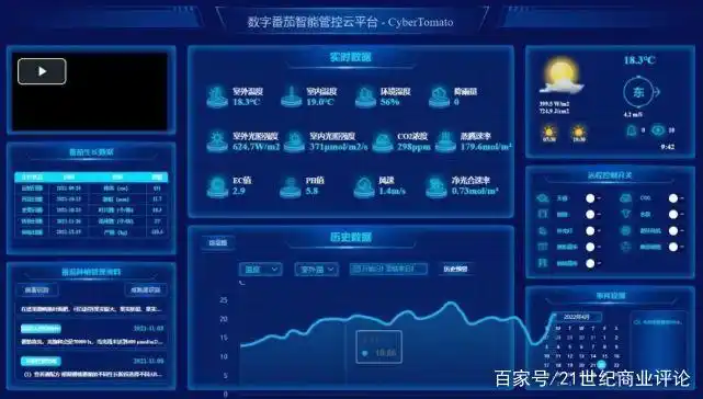 蕃茄种植技术_拼多多多多农研科技大赛_新农人科技农业发展