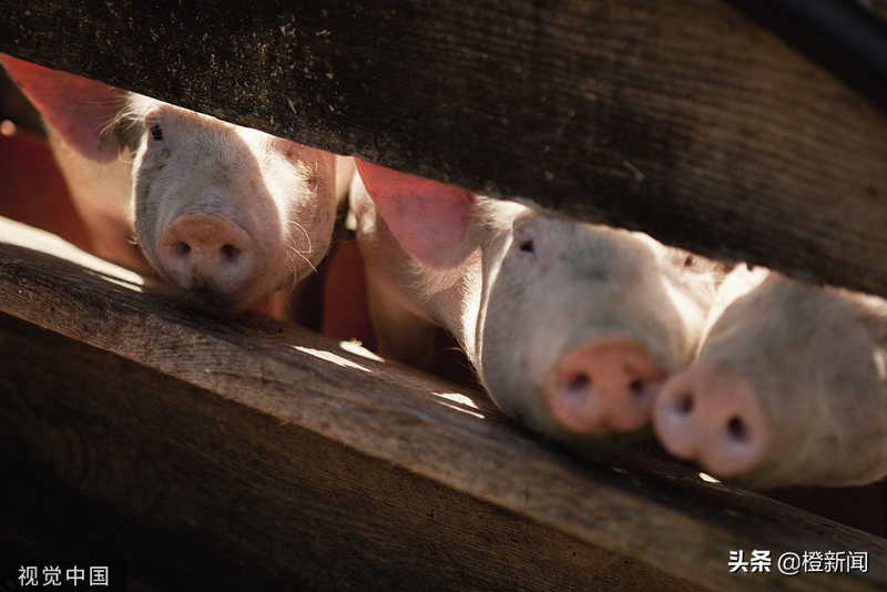 庄子寓言特点是什么_庄子寓言特点_庄子寓言的特点