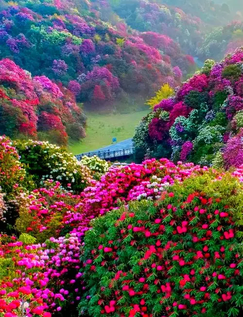 养车费一年_养车费一年_养车费一年