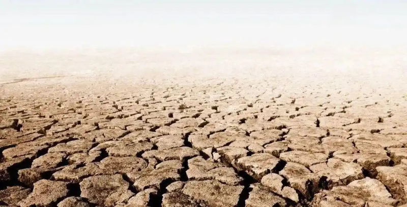 关于保险的新闻播报