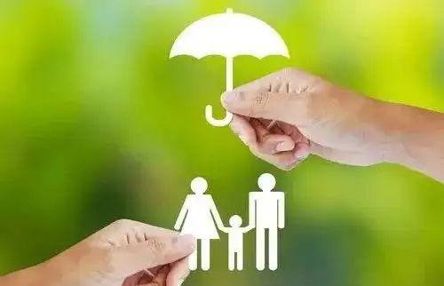 关于保险的新闻播报