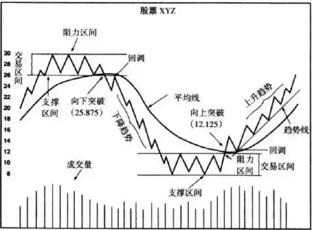 厨师必须懂的知识_股票入门技巧_股票交易系统