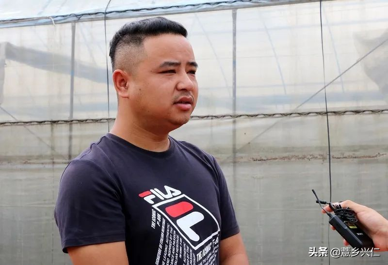 马家屯生态茉莉香葡萄_兴仁市马家屯葡萄基地_茉莉香葡萄大棚种植技术