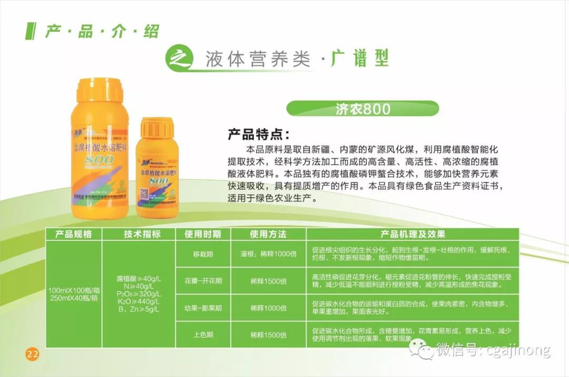 茉莉香葡萄大棚种植技术_济农800葡萄种植效果_茉莉香葡萄济农800