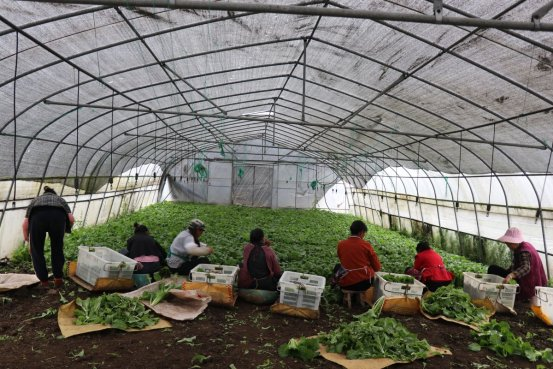 毕节市对坡镇新闻