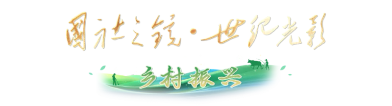 农村题材新闻摄影