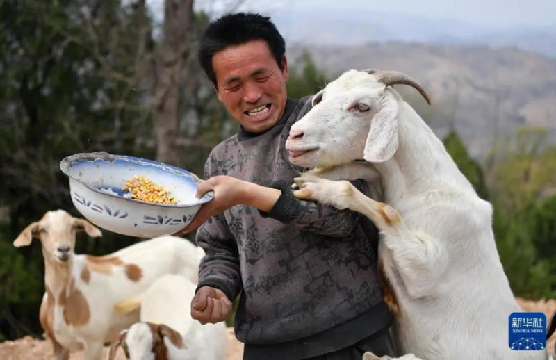 农村题材新闻摄影