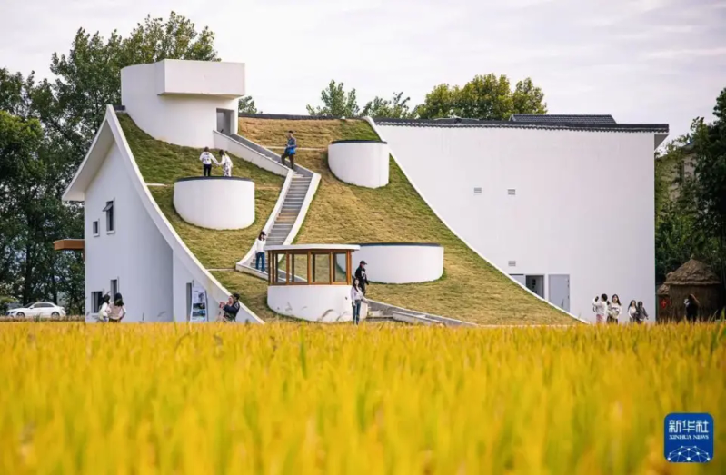 农村题材新闻摄影