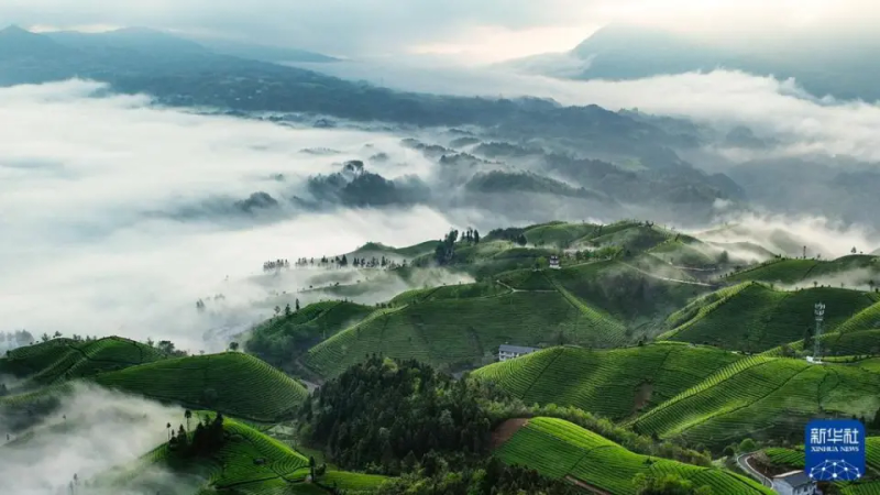 农村题材新闻摄影