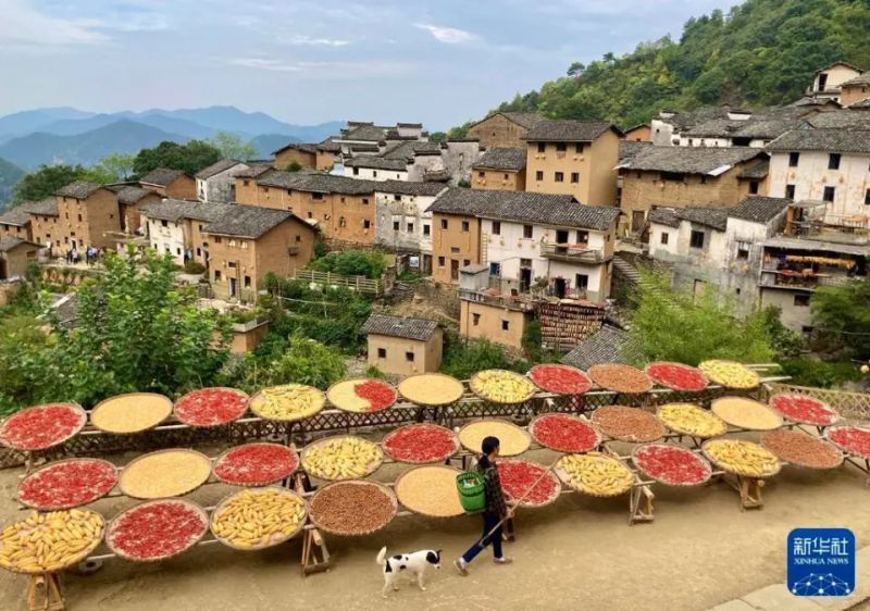 农村题材新闻摄影