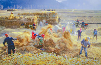 农村题材新闻摄影