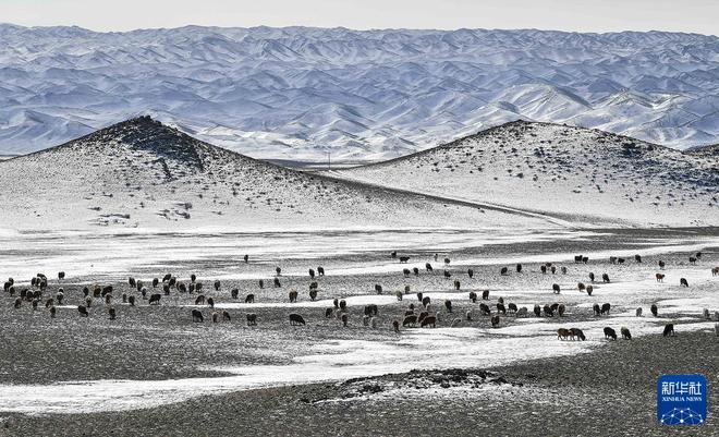 农村题材新闻摄影