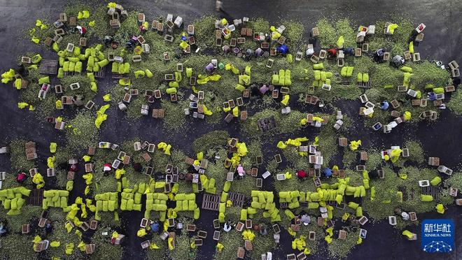 农村题材新闻摄影