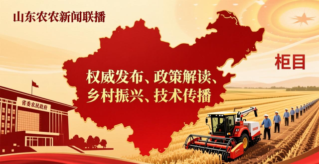 最新大安新闻联播