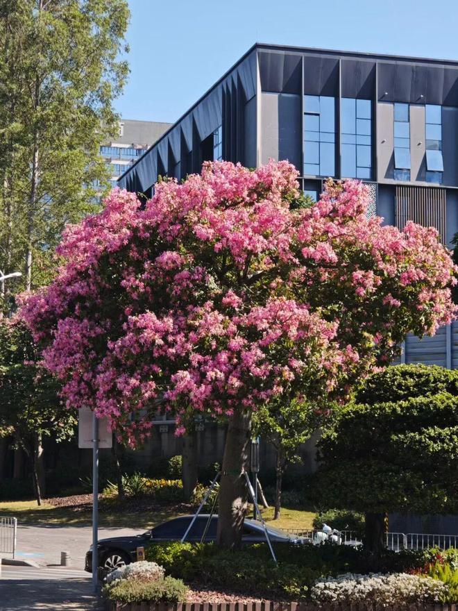 报纸新闻标题要求