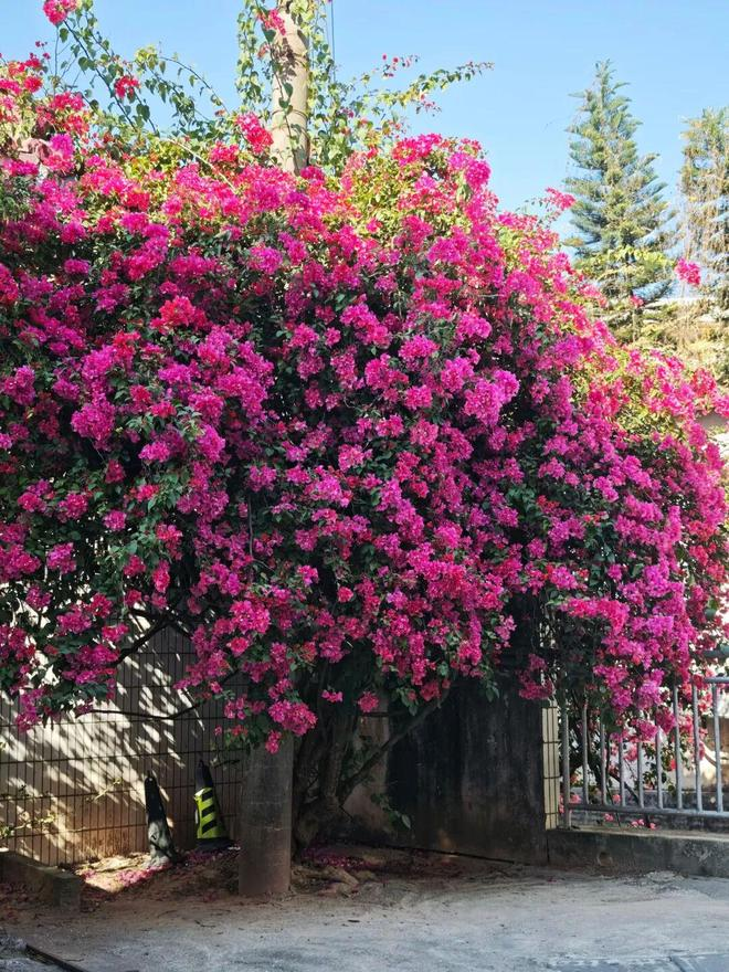 报纸新闻标题要求