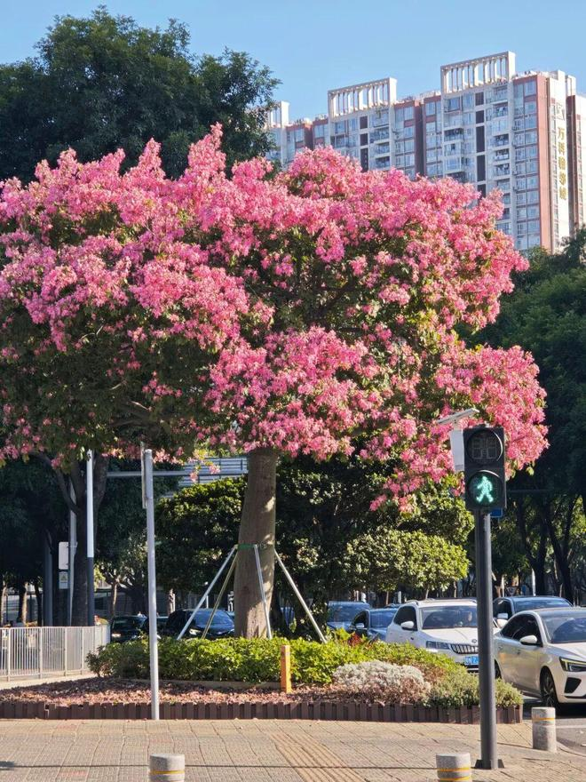 报纸新闻标题要求