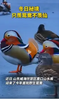 一周内的热点新闻