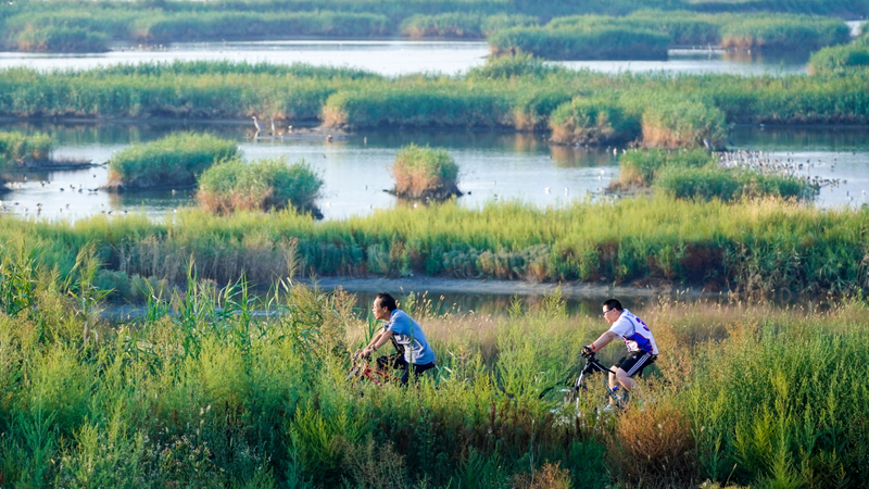 运城凤凰资讯电子版