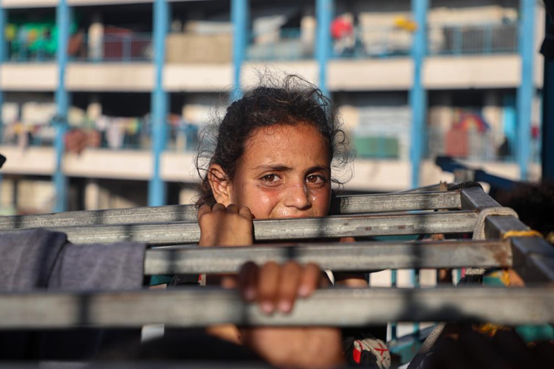 2026政治时事热点