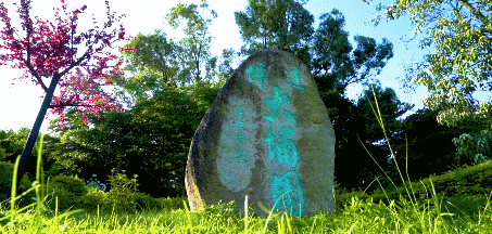 达濠邮电局最新招聘消息