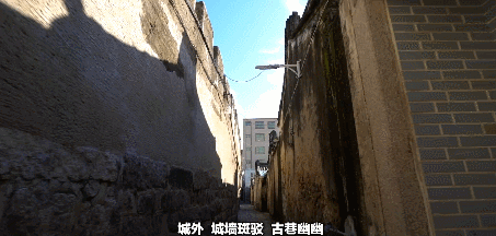 达濠邮电局最新招聘消息