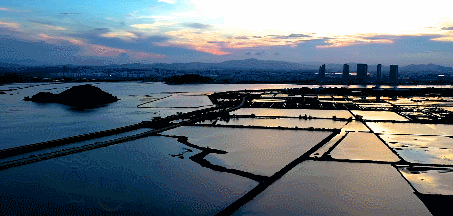 达濠邮电局最新招聘消息