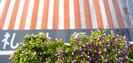 达濠邮电局最新招聘消息