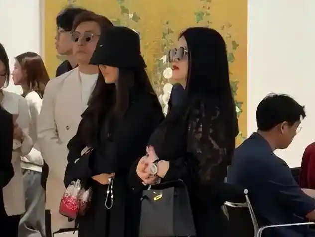 蒋欣捐款惹怒韩红 资讯