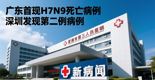 2026年9月17号深圳罗湖h7n9病毒死亡新闻