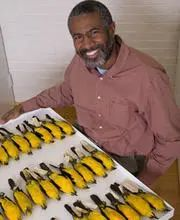 复旦大学新闻学院暑期学校